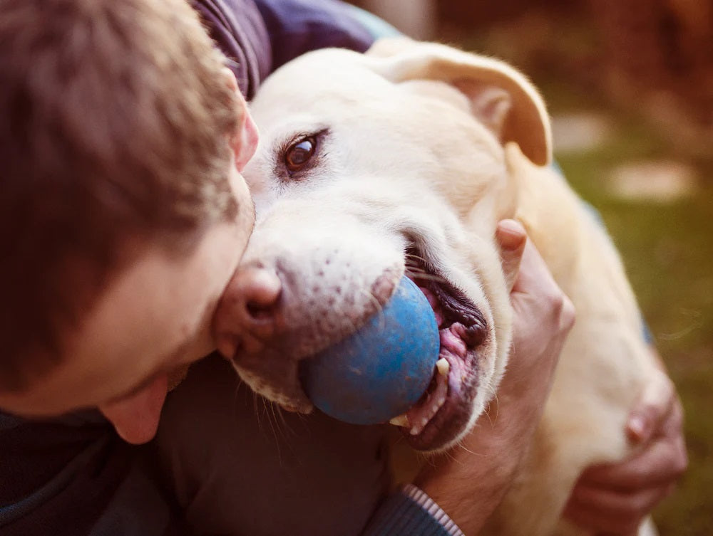 9 méthodes simples et naturelles pour traiter l’anxiété chez le chien