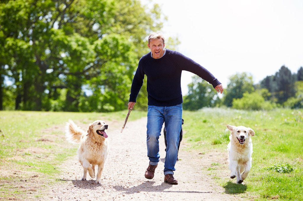 TROIS FAÇONS SIMPLES DE RENFORCER NATURELLEMENT LE SYSTÈME IMMUNITAIRE DE VOTRE CHIEN