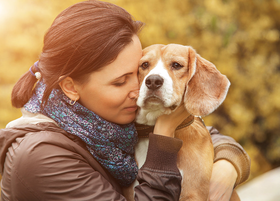 5 choses à savoir sur le cancer du pancréas chez les chiens