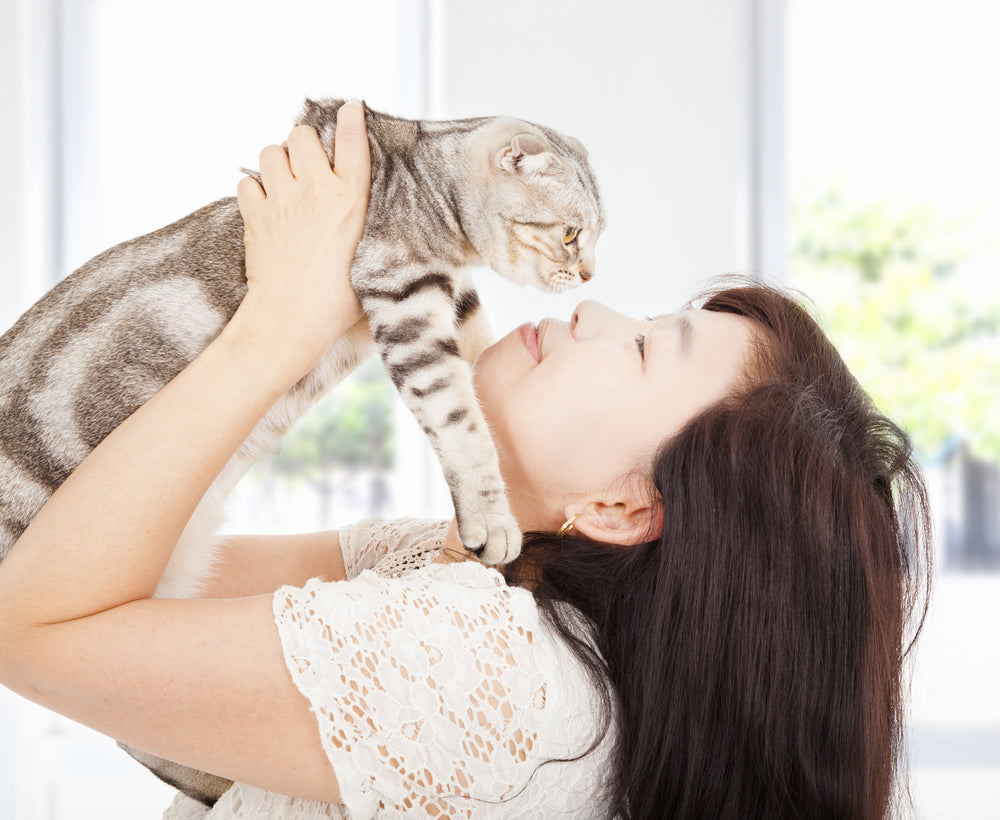 5 moyens simples de prévenir la rage chez le chat 2025