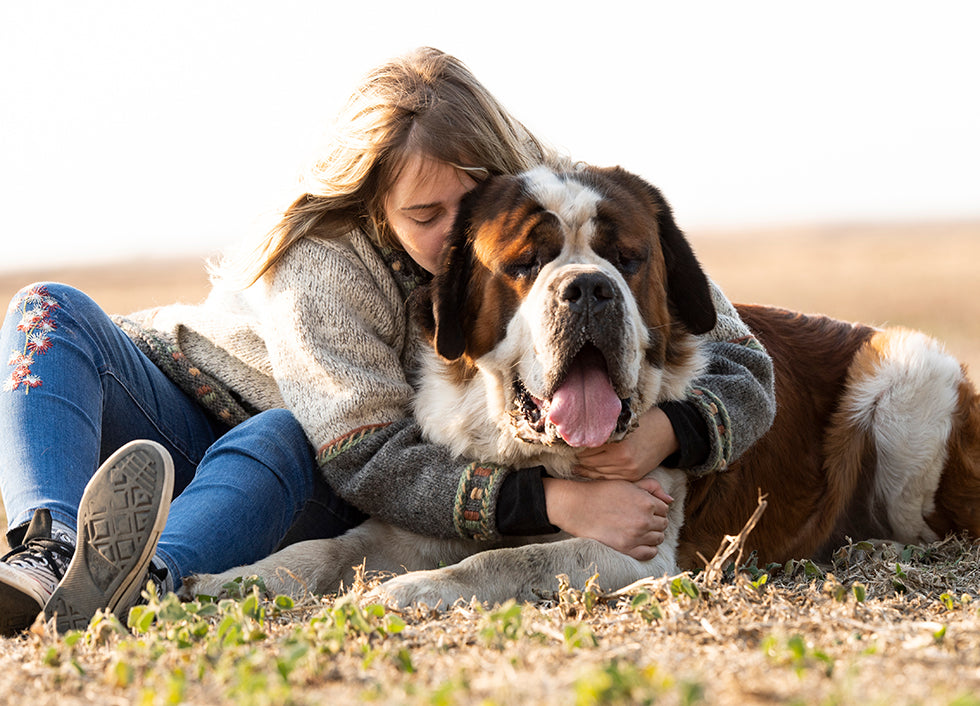 CANCER DE LA PEAU CHEZ LE CHIEN : QUELLES ALTERNATIVES NATURELLES POUR L'AIDER DANS SA LUTTE ?