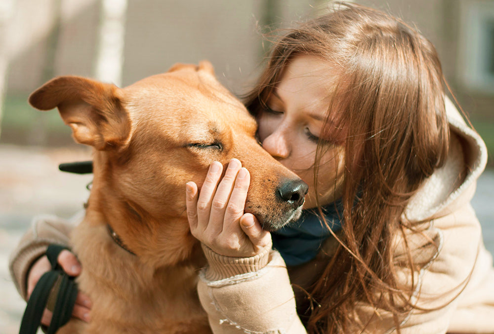 Détection et alternatives naturelles pour faire face au cancer de l'estomac chez les chiens