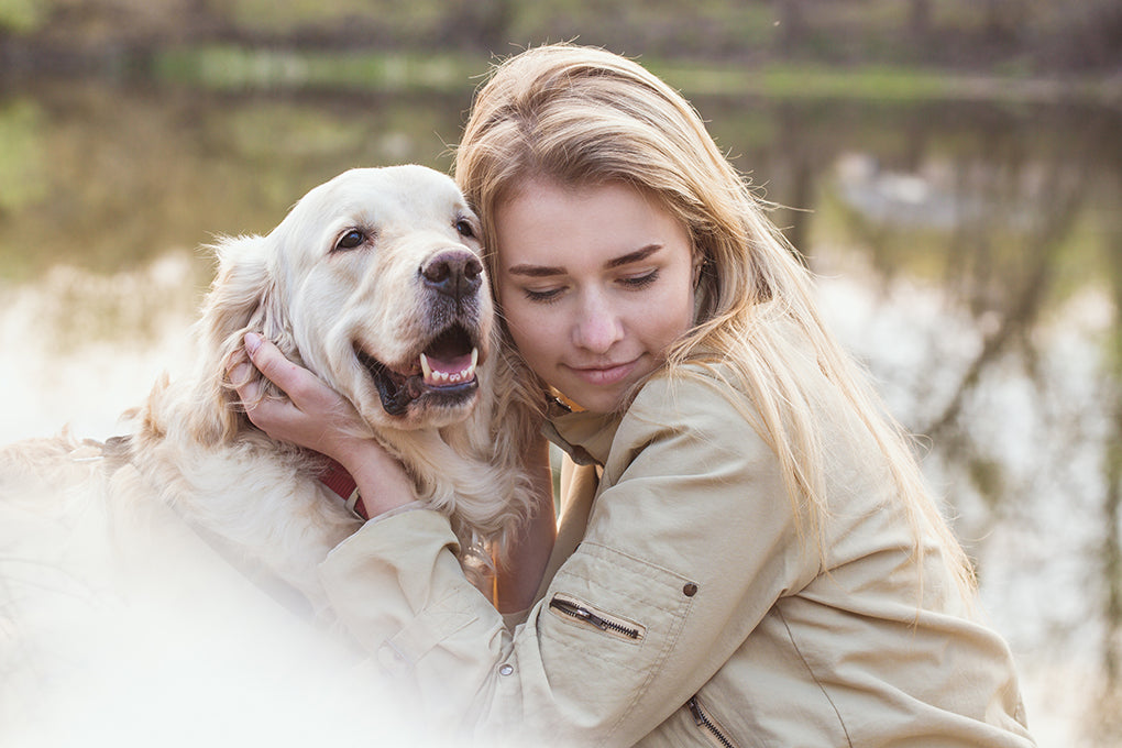 Qu'est-ce que le cancer des testicules chez les chiens ? Comment combattre contre ce cancer efficacement ?