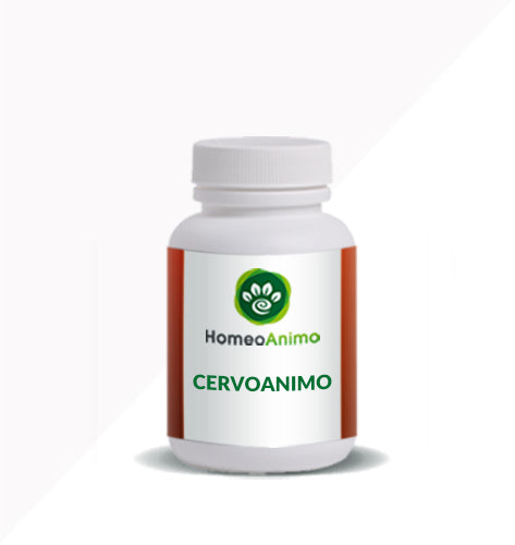 CERVOANIMO