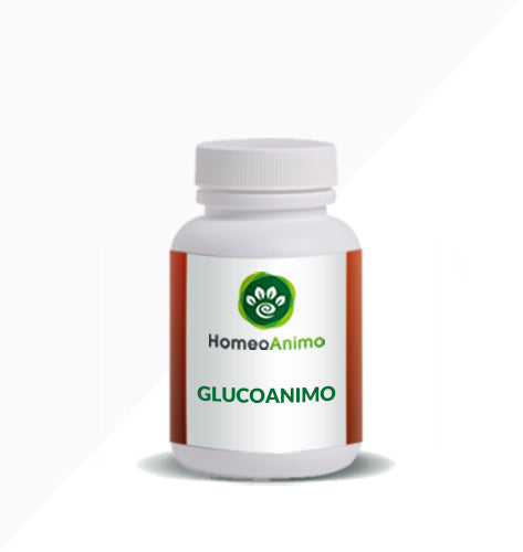 GLUCOANIMO