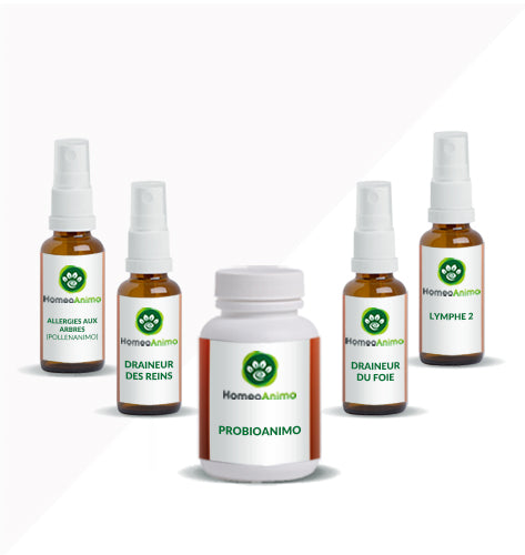 ALLERGIES AUX ARBRES (POLLENANIMO) - KIT OPTIMAL