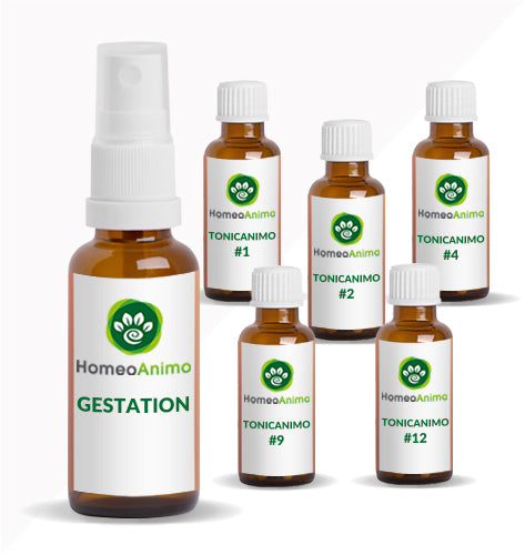 GESTATION - KIT OPTIMAL