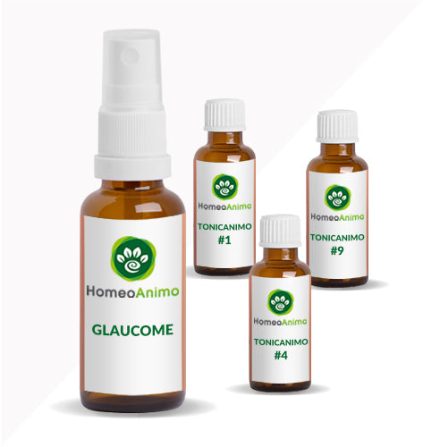 GLAUCOME - KIT OPTIMAL