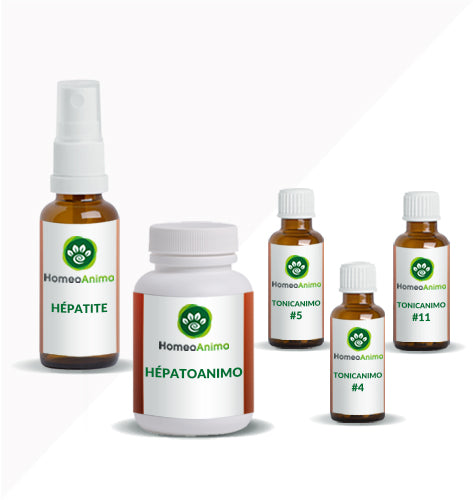 HÉPATITE - KIT OPTIMAL