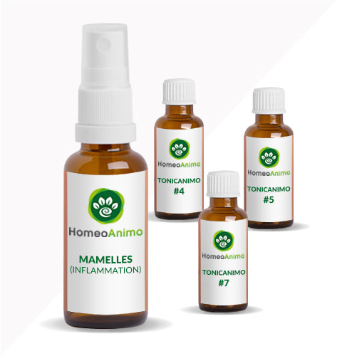 MAMELLES (INFLAMMATION) -  KIT SUPÉRIEUR