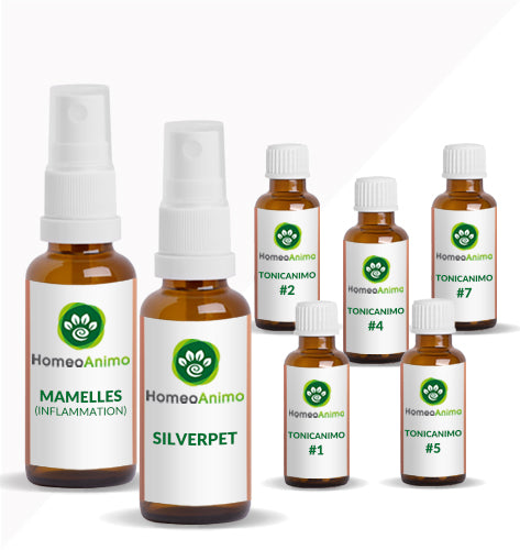 MAMELLES (INFLAMMATION) - KIT OPTIMAL