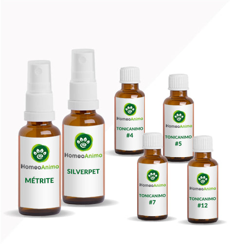 MÉTRITE - KIT OPTIMAL