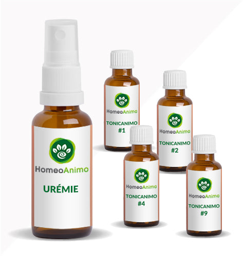 URÉMIE -  KIT SUPÉRIEUR