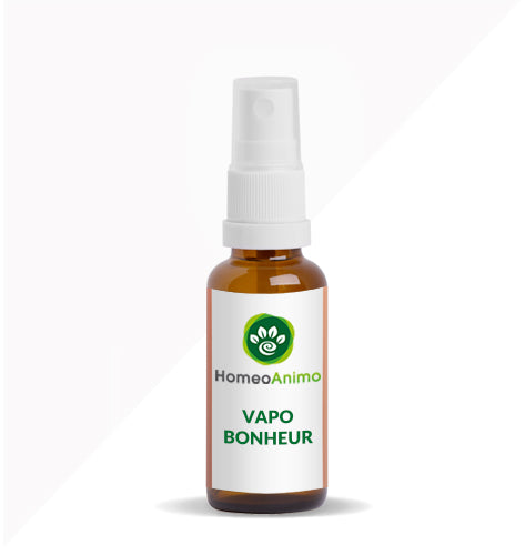 VAPO BONHEUR