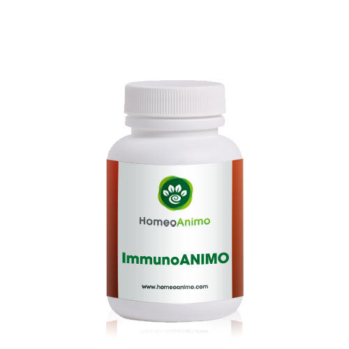 ImmunoANIMO - Homeoanimo