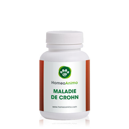 Maladie de Crohn - Homeoanimo